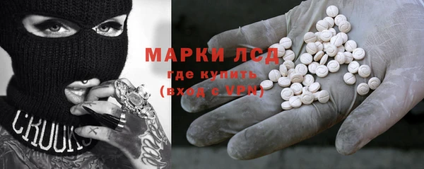 прущие грибы Ладушкин