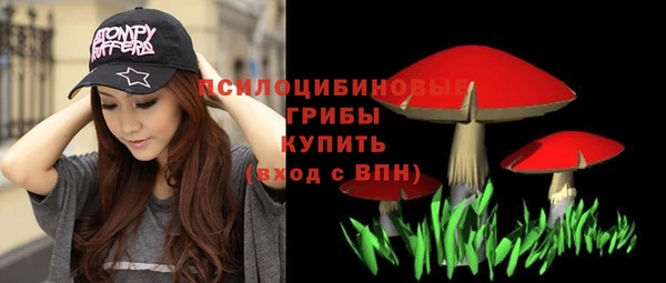прущие грибы Ладушкин