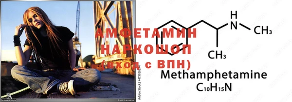 прущие грибы Ладушкин