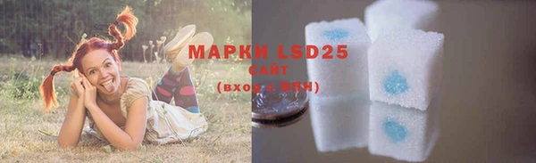 прущие грибы Ладушкин