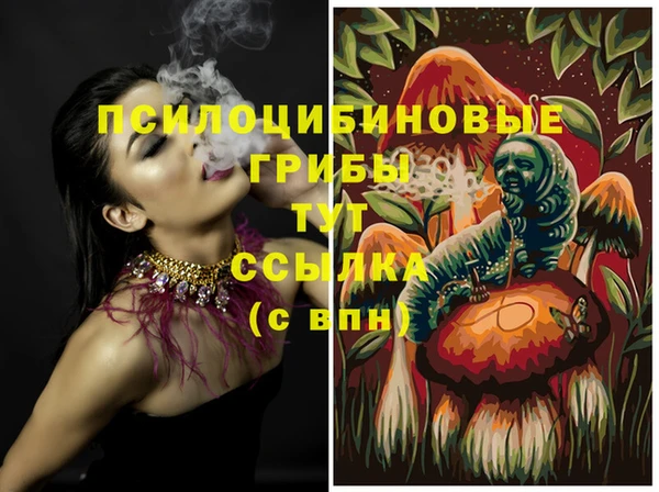 ПСИЛОЦИБИНОВЫЕ ГРИБЫ Кукмор