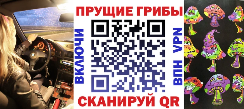 ссылка на мегу ссылка  Мглин  Псилоцибиновые грибы мицелий  где можно купить наркотик 